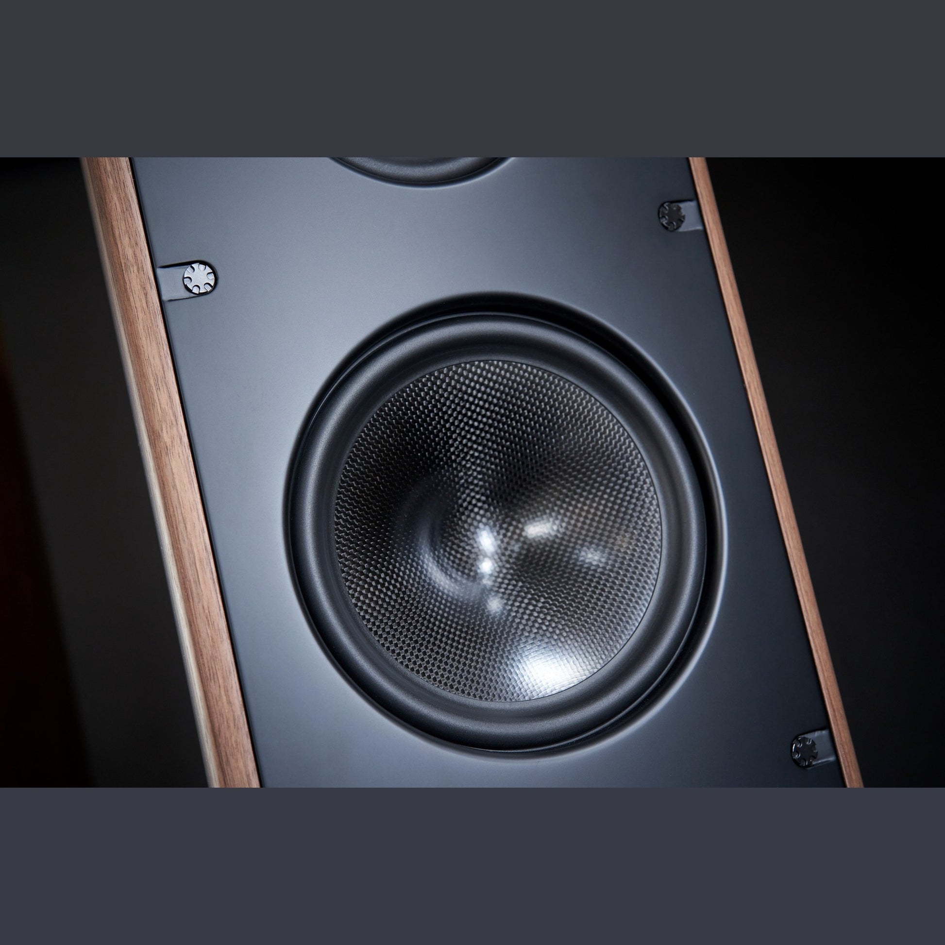 Scansonic HD MB8 B Standlautsprecher Detailansicht Tieftöner mit Carbon-Membran in Walnuss