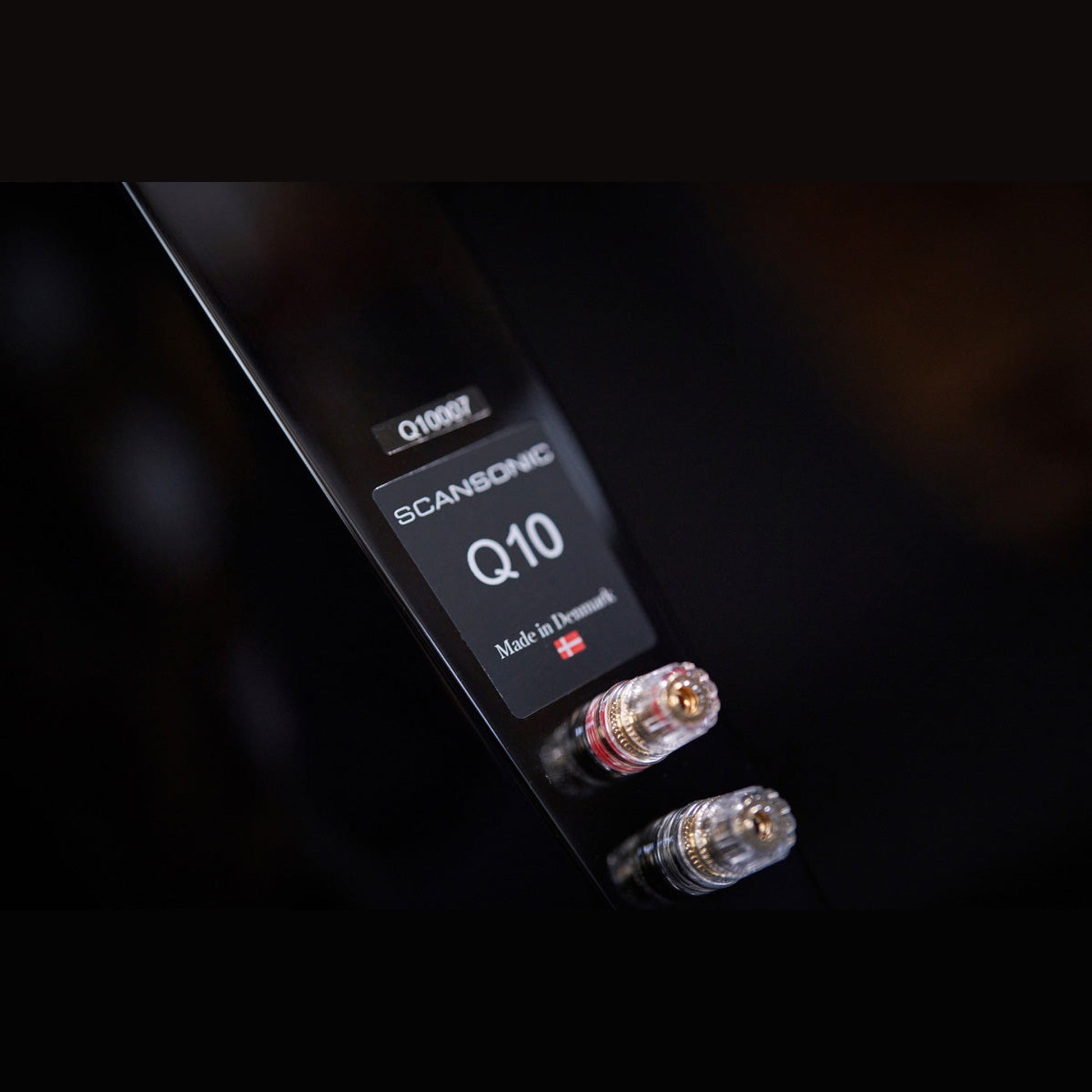 Scansonic HD Q10 Standlautsprecher Anschlussfeld mit Typenschild und Schraubklemmen, Nahaufnahme