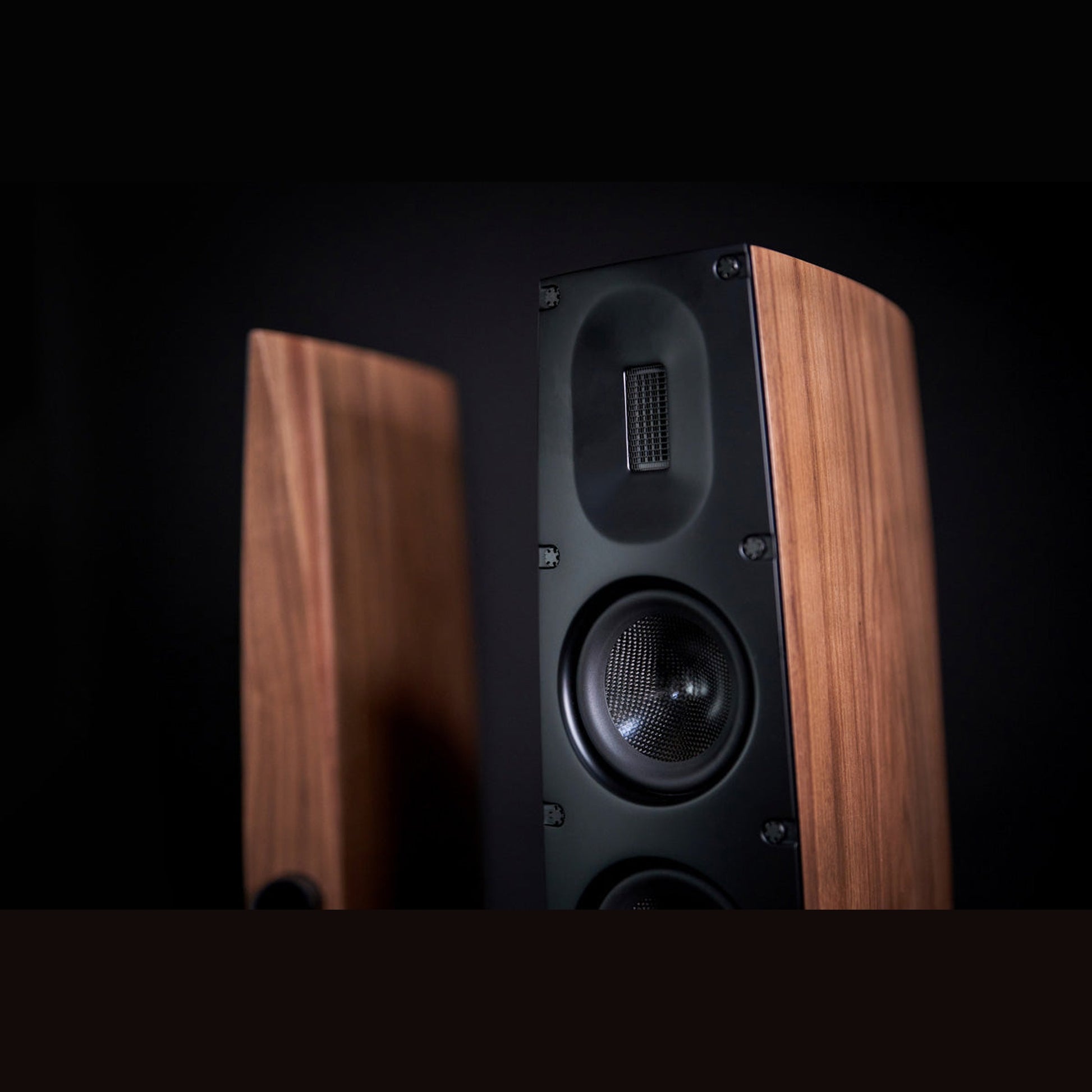 Scansonic HD Q8 Standlautsprecher Detailansicht Schallwand mit Bändchenhochtöner, Ausführung Walnuss