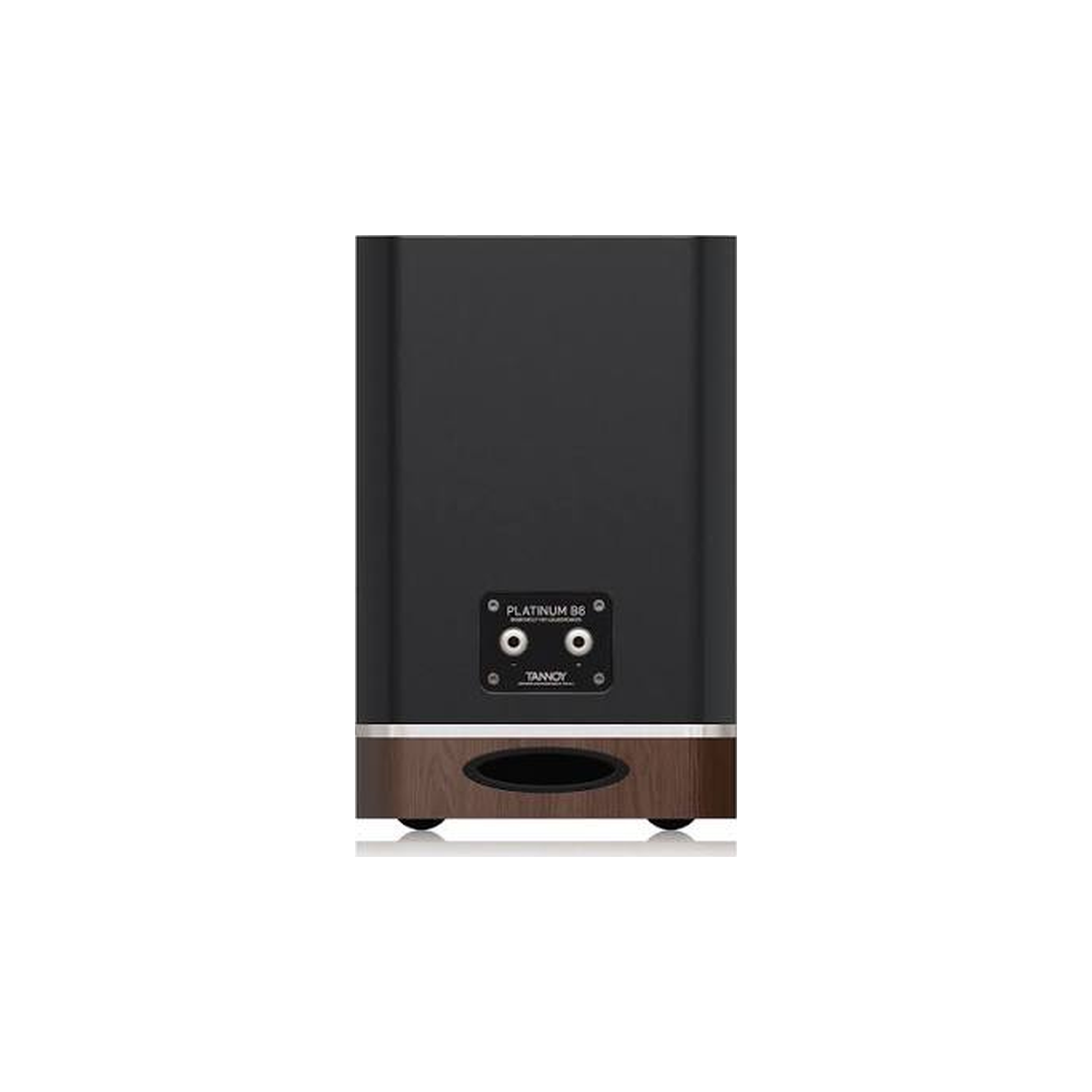 Tannoy Platinum B6 Regallautsprecher Schwarz/Holz dunkel Rückansicht mit Terminal und Bassreflexöffnung