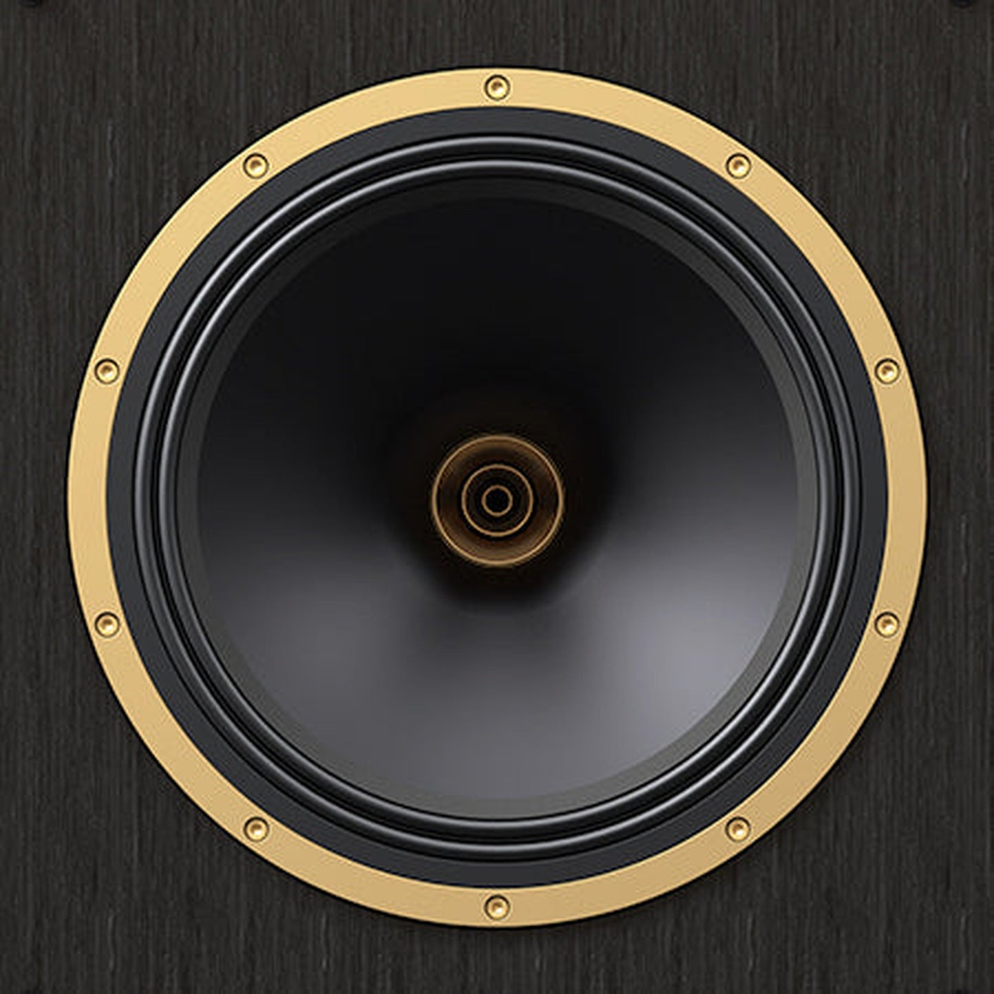 Tannoy SGM 10 Regallautsprecher Detailansicht Dual-Concentric-Chassis mit vergoldetem Haltering