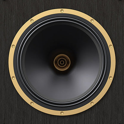 Tannoy SGM 15 Standlautsprecher Detailansicht Dual-Concentric-Chassis mit vergoldetem Montagering