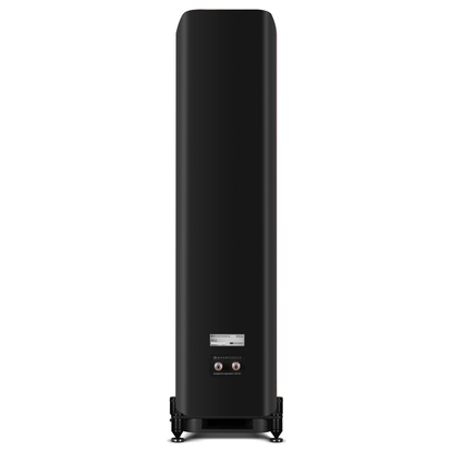 Wharfedale EVO 5.4 Standlautsprecher Schwarz matt Rückansicht mit Anschlussfeld