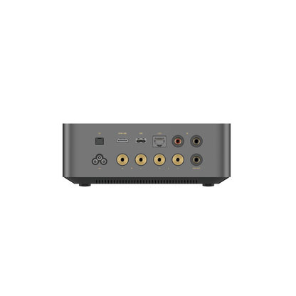 WiiM Amp Ultra Streaming-Verstärker Silber Rückansicht mit Cinch, HDMI ARC, LAN und Lautsprecherklemmen