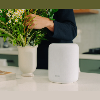 WiiM Sound Lite Streaming-Lautsprecher Weiss Lifestyle auf der Küchenablage neben Blumenvase