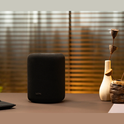 WiiM Sound Lite Twin-Pack Stereoset Schwarz Lifestyle vor Holzlamellen mit Vasen