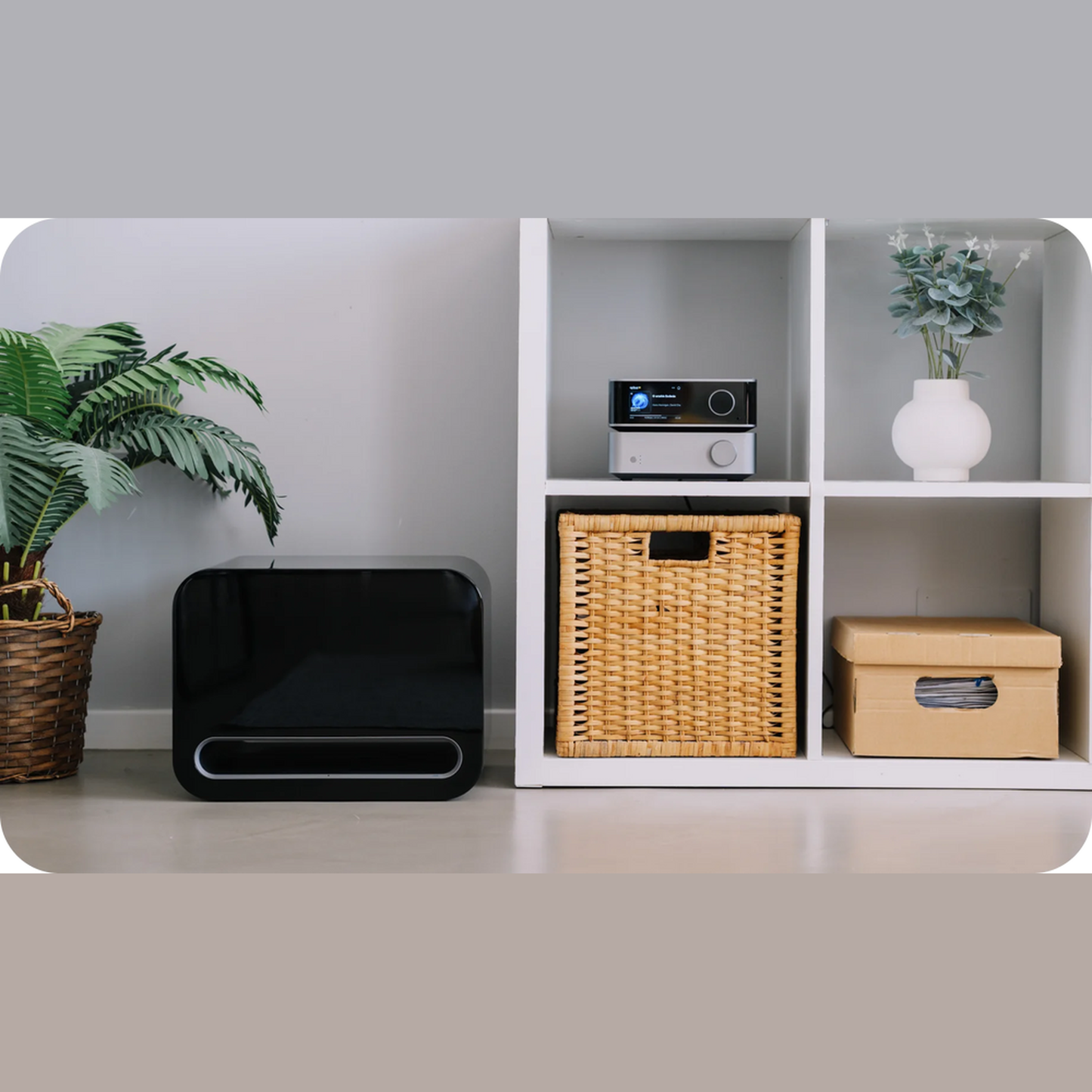 WiiM Sub Pro Wireless-Subwoofer Schwarz Lifestyle neben dem Regal im Wohnraum