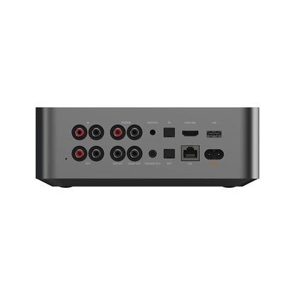 WiiM Ultra Netzwerk-Streamer Silber Rückansicht mit Phono-Eingang, Cinch, HDMI ARC, LAN und Subwoofer-Ausgang
