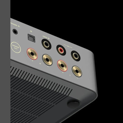 WiiM VibeLink Amp Vollverstärker Space Gray Anschlussfeld mit Trigger-Eingang und Lautsprecherklemmen