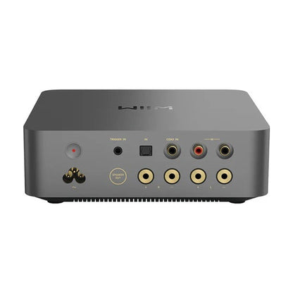 WiiM VibeLink Amp Vollverstärker Space Gray Rückansicht mit Trigger, Toslink, Coax und Cinch