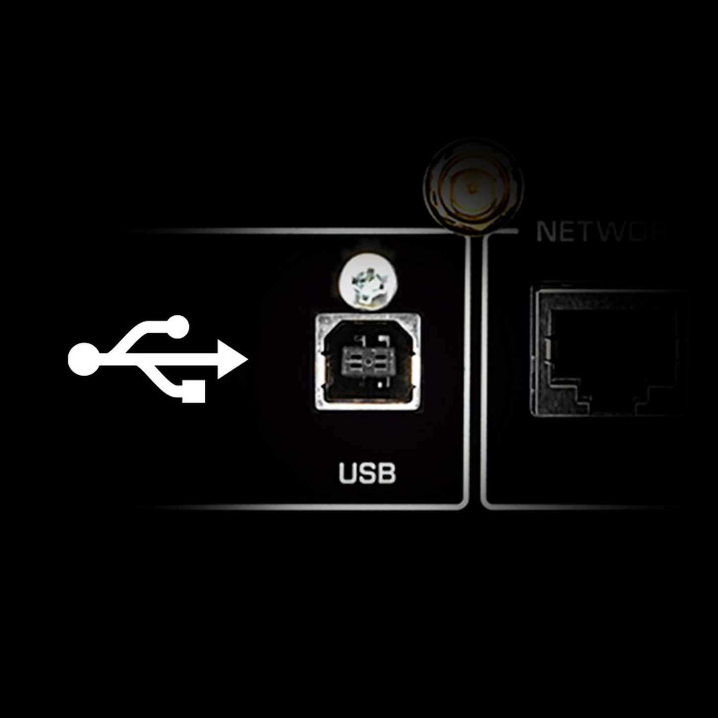 Yamaha R-N1000A Netzwerk-Receiver mit HDMI Schwarz Detailansicht von USB-Anschluss und Netzwerkbuchse auf der Rückseite